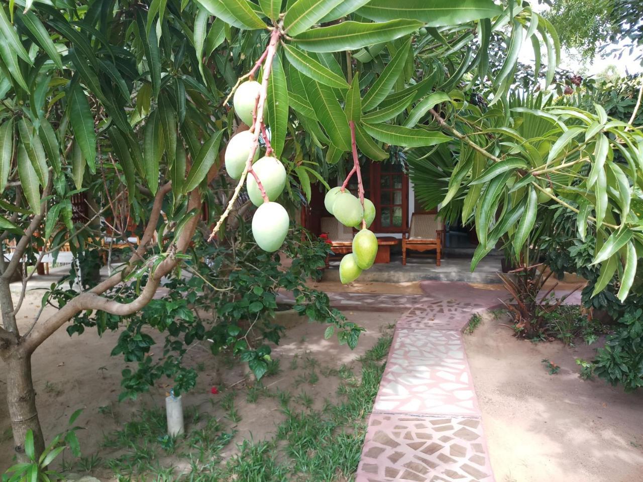 Inn On The Bay Passikudah Exterior foto